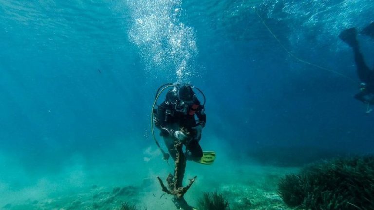 Un día junto a los activistas del mar que luchan por salvar el Mediterráneo